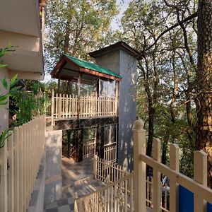 The Pine Retreat - Mall Road Dalhousie
